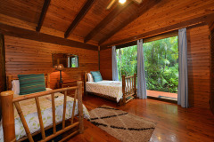 Daintree Holiday Home - Daintree Retreat