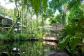 Daintree Rainforest Accommodation | Eco Retreat