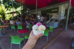 Daintree Rainforest | Daintree icecream 