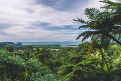 Daintree Rainforest Lookouts