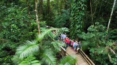 Daintree Rainforest Tours - Lookouts