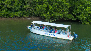 Daintree River Cruise - See ceocodiles, birds, butterflys and more