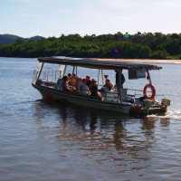 Daintree River Cruise | Full Day Small Group Private Charter