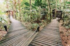 Boardwalk to each Rainforest Cabin - Daintree Wilderness Lodge - Daintree Rainforest Accommodation 