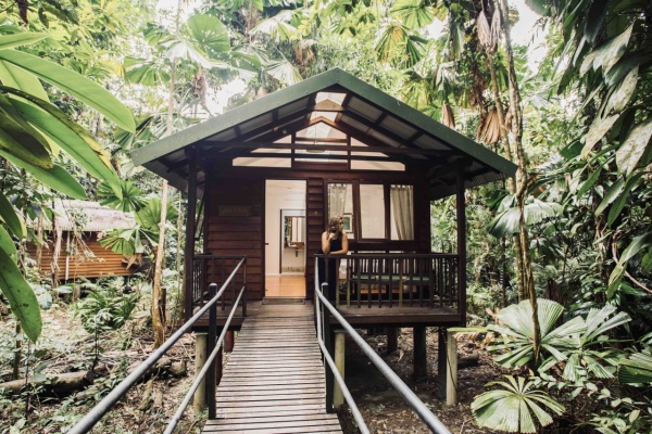Daintree Wilderness Lodge | Daintree Rainforest Accommodation | Rainforest Cabins