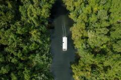 Daintree Wildlife River Cruise
