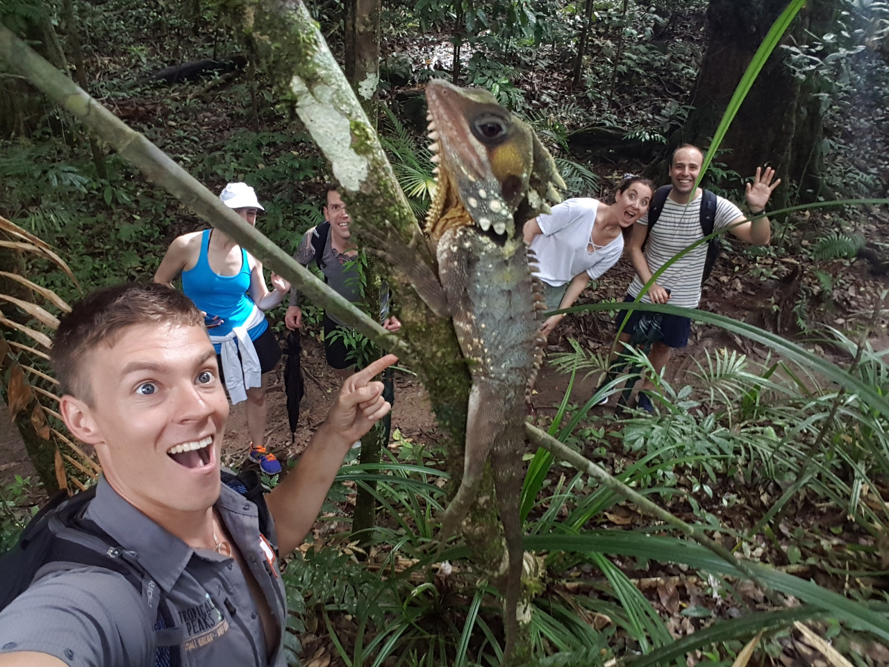 Daintree Rainforest Exclusive Private Wildlife Charter Tour