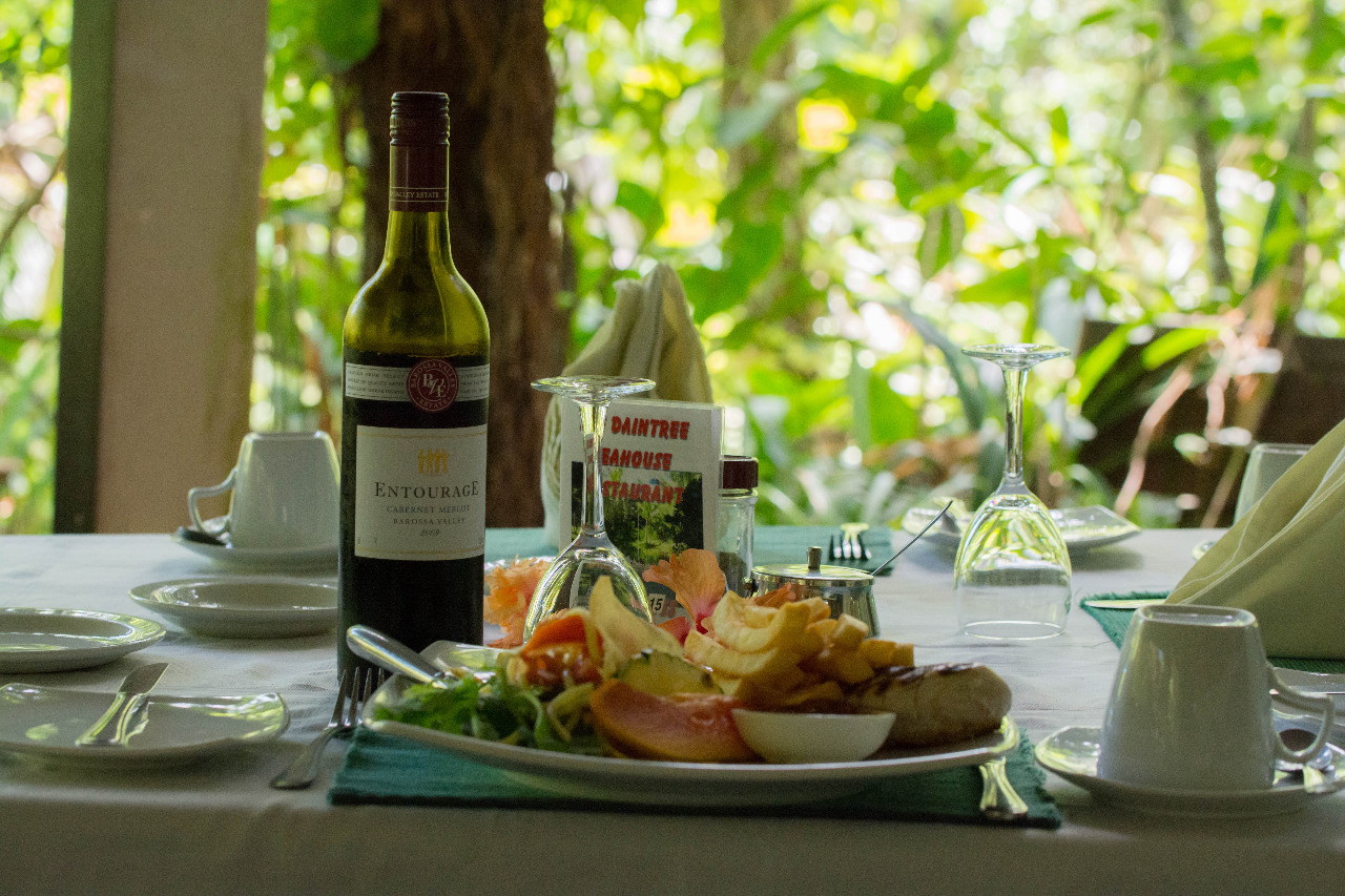 Daintree Rainforest Exclusive Private Wildlife Charter Tour