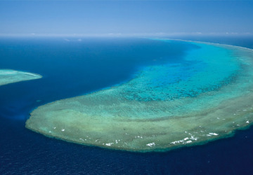 Deluxe 40 minute scenic Great Barrier Reef Helicopter Flights