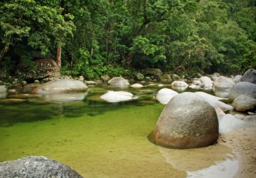 Departing From Port Douglas | 1 Day Tour | Mossman Gorge
