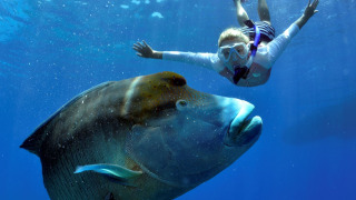 Discover 2 Reef Locations in One Day