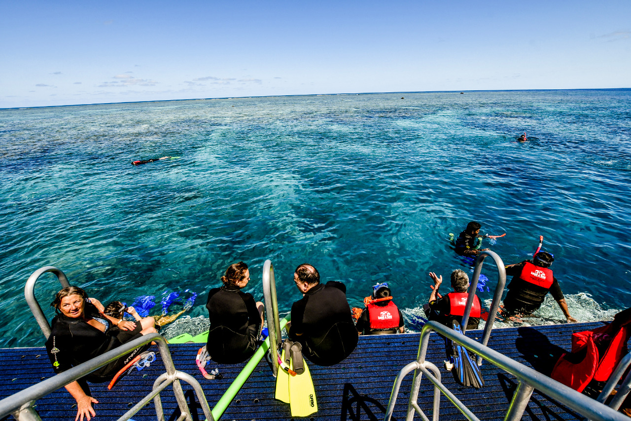 Dreamtime Dive & Snorkel 5 Hour Outer Great Barrier Reef Trip