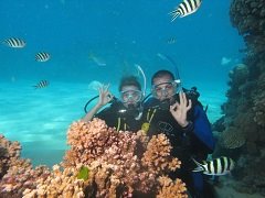 Divers on the Barrier Reef