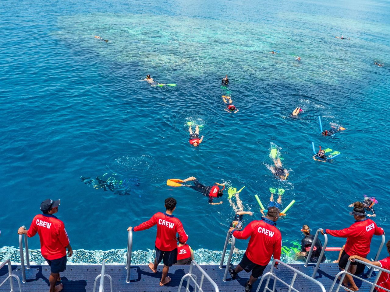 Dreamtime Dive & Snorkel 5 Hour Outer Great Barrier Reef Trip