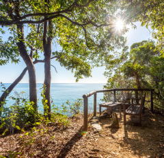 Dugong Lookout - Thala Beach Nature Reserve