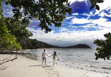 Enjoy A Stroll On Cape Tribulation Beach During Your Free Time | Overnight Stay In Cape Tribulation 