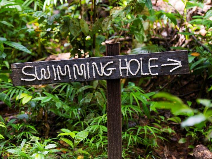 Enjoy exploring local Swimming Holes & Rainforest Walking Tracks | Daintree Rainforest Accommodation