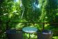 Enjoy tranquil Rainforest views overlooking Coopers Creek