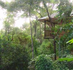 Rainforest Resorts Cairns - Eucalypt Bungalow at Thala Beach Lodge
