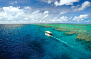 Explore The Reef On A Small Glass Bottom Boat Tour From Your Cruise Ship 