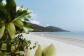 Explore the stunning natural beauty of Daintree, Cape Tribulation