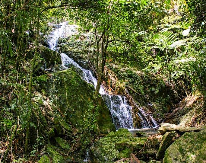 Explore Rainforest walks and swimming holes - Daintree Eco Lodge & Spa