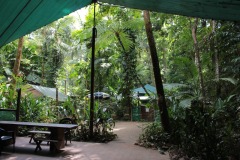 Family Accommodation In The Daintree | Daintree Crocodylus Village