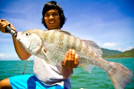 Fishing in Cairns