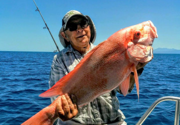 Fishing The Great Barrier Reef | Nannygai