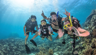 Free dive included in you day trip