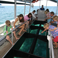 Glass bottom boat tour Green Island