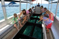 Glass bottom boat tour Green Island Queensland Australia