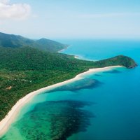 Daintree Rainforest Tours - Tour To The Daintree Cape Tribulation Region