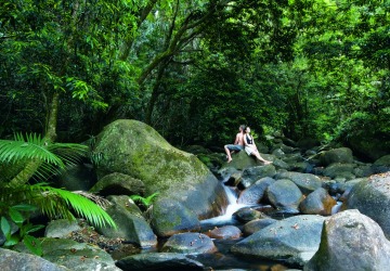 Discover World Heritage Daintree Rainforest | Day Trips