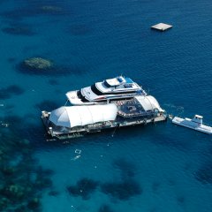 Great Barrier Reef Tour | Pontoon | Semi-submersible submarine
