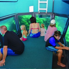 Cairns Reef Trip - Outer Barrier Reef Tour - Semi-submersible submarine cruise on Cairns pontoon