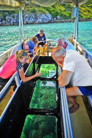 Great Barrier Reef Cruise Ship Activity | Glass Bottom Boat Tour