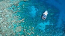  Great Barrier Reef Day Tours Cairns - VIP Captains Club