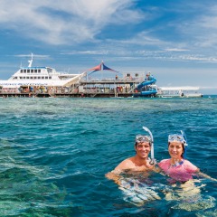Great Barrier Reef Snorkel tour on the pontoon off Cairns