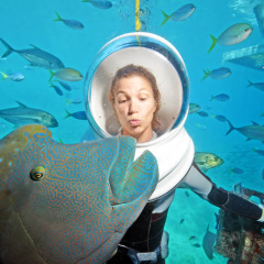 Great Barrier Reef Tour | Helmet diving |Australia 