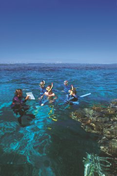 Great Barrier Reef Tours - Snorkel Tours 