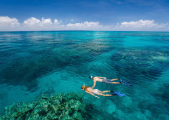 Great Barrier Reef Tours - Snorkel Tours 