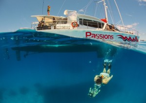 Great Barrier Reef Tours Cairns Queensland Australia