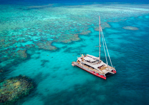 Great Barrier Reef Tours Cairns Queensland Australia
