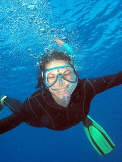 Great Barrier Reef Trips - Snorkel Tours