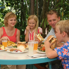 Green Island perfect day tour for families