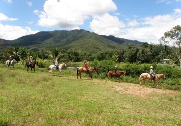 Group Tour - Cairns Horse Riding Tour