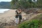Eco Resorts Port Douglas - Guided Beach Walks - Luxury Eco Accommodation at Port Douglas