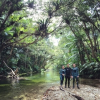 Half day small group tour port douglas