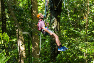 Hanging Out in the Rainforest - Daintree Cape Tribulation Rainforest Zipline